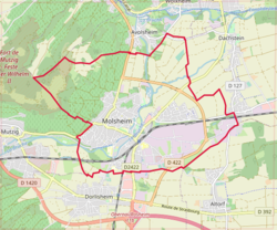 Molsheim OSM 01